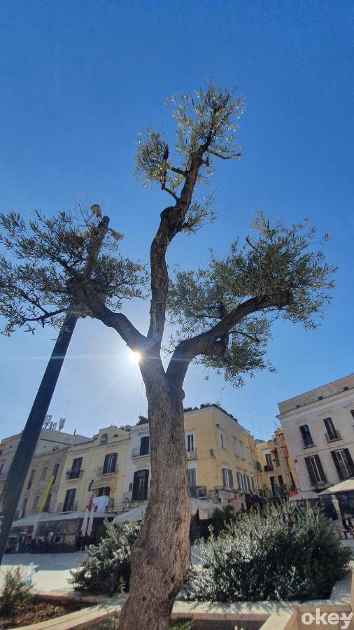 Dimora Donna Vittoria - Bari Vecchia Apartment ภายนอก รูปภาพ
